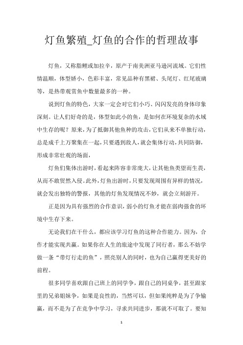 灯鱼繁殖_灯鱼的合作的哲理故事