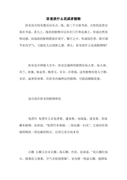 卧室放什么花或者植物