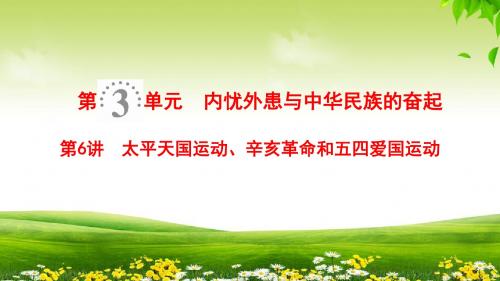 2019版高考历史一轮复习岳麓版(课件)：第3单元 第6讲 太平天国运动、辛亥革命和五四爱国运动