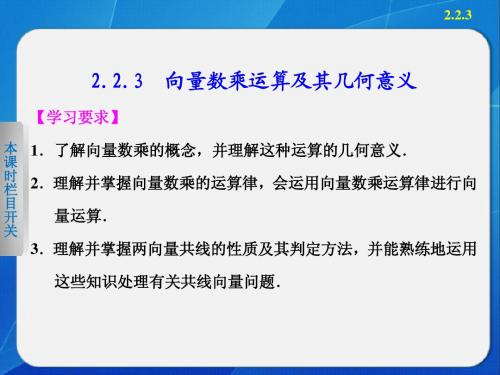 高中数学 人教A版必修4    第2章 2.2.3向量的数乘运算及其几何意义