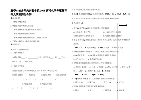 高考化学专题复习 钠及其重要化合物