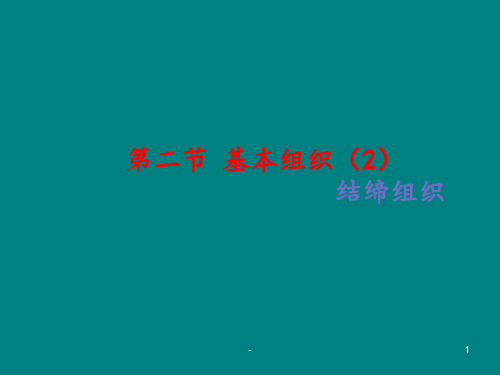 结缔组织课件ppt课件