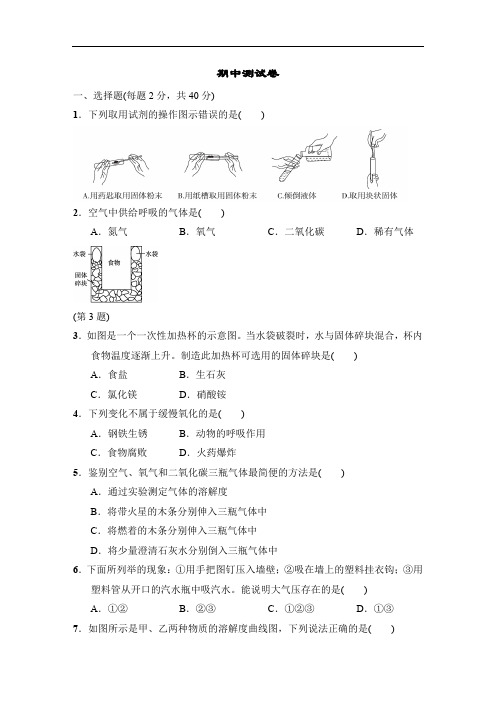 华师版七年级科学下册 期中测试卷(含答案)