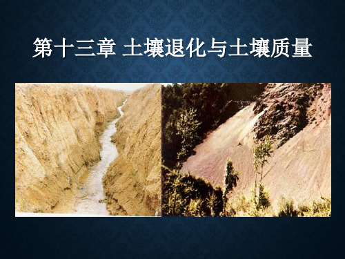土壤退化与土壤质量