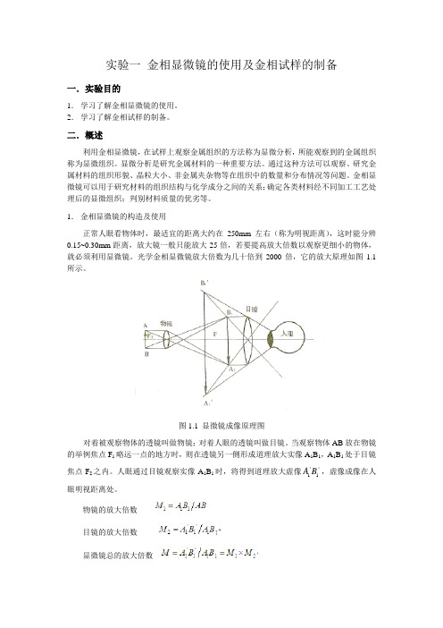 金相显微镜的使用及金相试样的制备实验