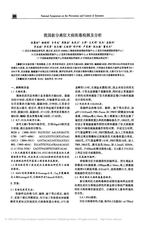 我国新分离狂犬病街毒检测及分析_徐葛林