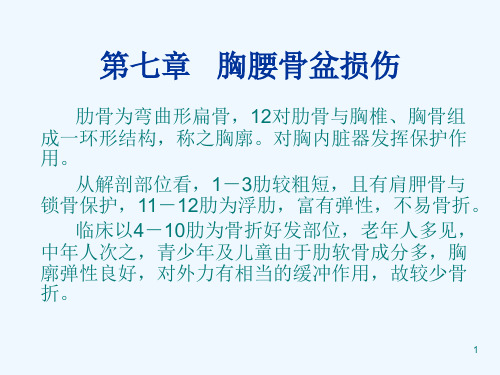 胸腰骨盆损伤PPT课件
