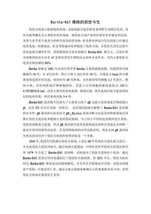 伪狂犬Bartha-K61毒株的前世今生