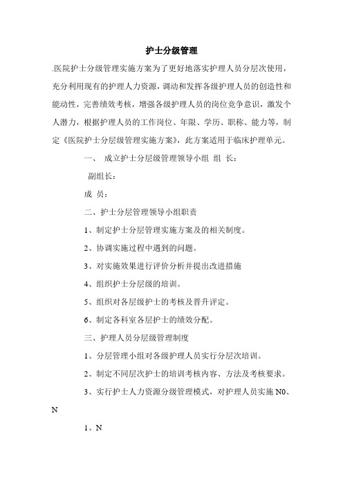 护士分级管理.doc