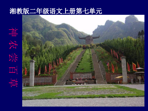 17《神农尝百草》精品PPT课件