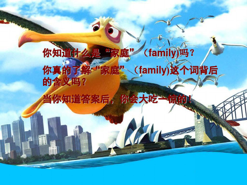 二年级上册英语课件Unit 1 My Family1_人教新起点