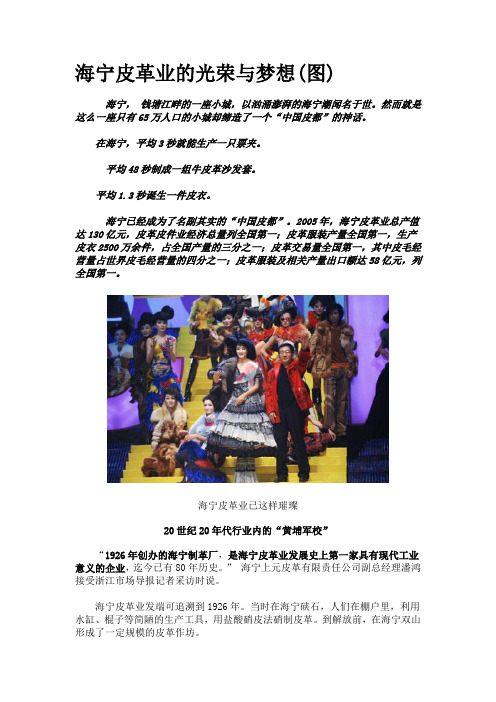 海宁皮革的历史