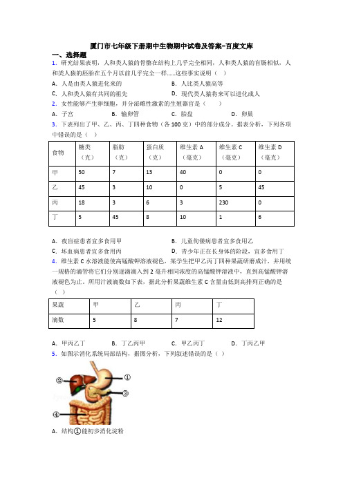 厦门市七年级下册期中生物期中试卷及答案-百度文库