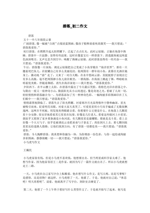 碧落_初二作文.doc