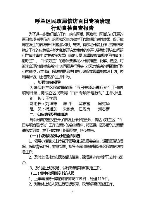 呼兰区民政局“百日专项治理行动”自检自查报告