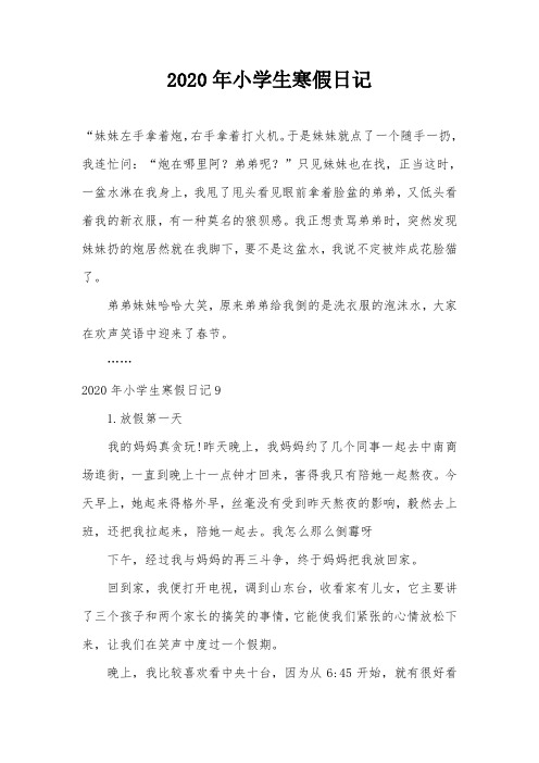 2020年小学生寒假日记