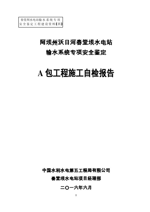 水电站输水系统专项安全鉴定施工自检报告