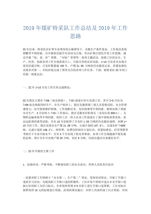工作总结-2019年煤矿特采队工作总结及2019年工作思路 精品