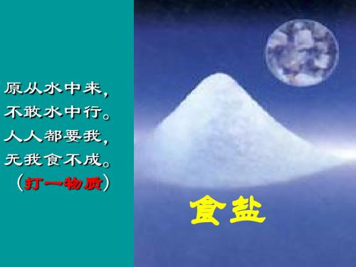 人教版九年级化学下册11.1生活中常见的盐(共25张PPT)