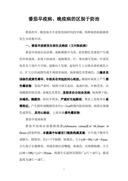 番茄早疫病晚疫病的区别于防治