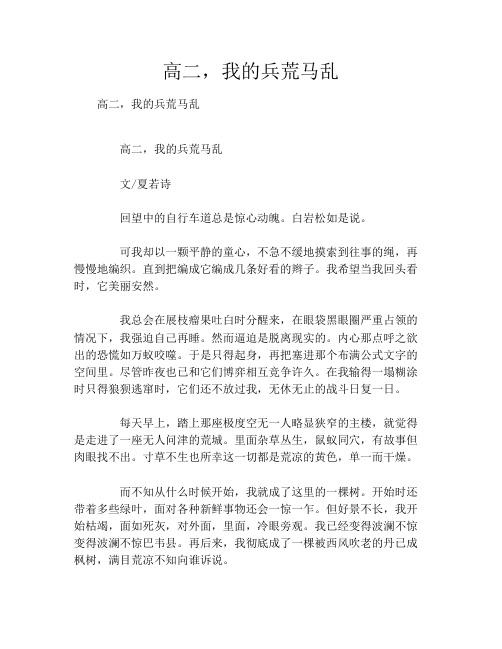 高二,我的兵荒马乱