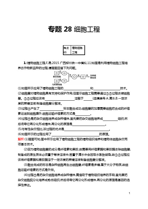 新编高考生物模拟试卷-专题28 细胞工程