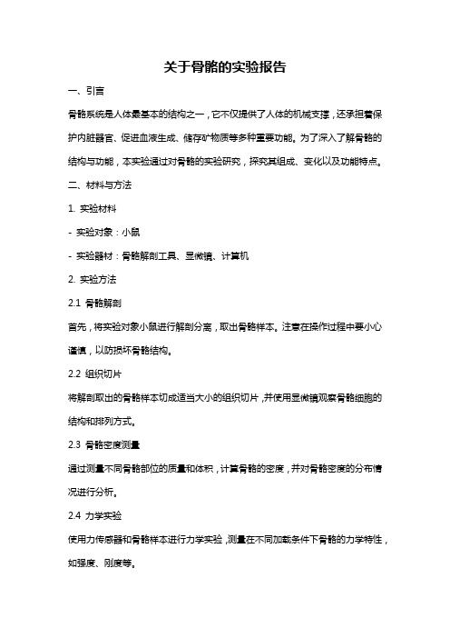 关于骨骼的实验报告
