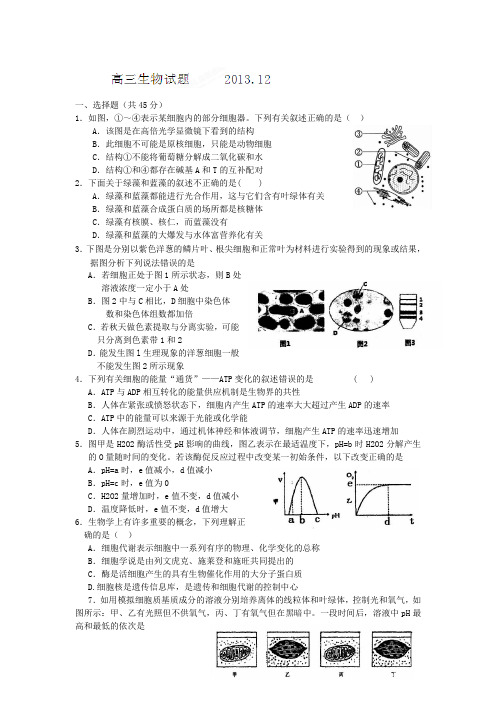 河北省保定市高阳中学2014届高三12月月考生物试卷