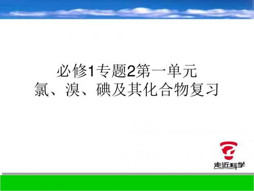 高一化学氯、溴、碘及其化合物(新2019)