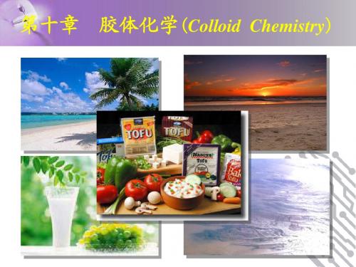 第10章 胶体化学