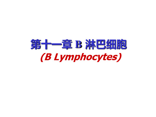 医学免疫学：第十一章 B淋巴细胞