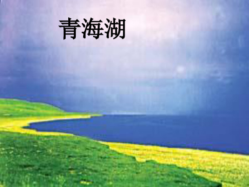 【鄂教版】五年级下册语文：第3课《青海湖,梦幻般的湖》ppt课件