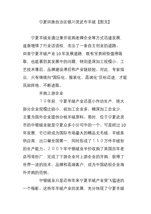 宁夏回族自治区银川灵武市羊绒【图文】