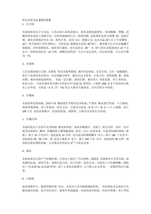 罗汉鱼常见病【整理篇】