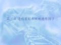 中山大学遗传学课程《第三章 遗传重组和转座遗传因子》