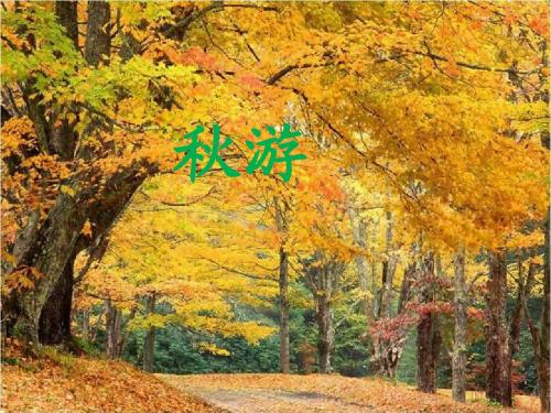 苏教版小学二年级语文上册《秋游》课件
