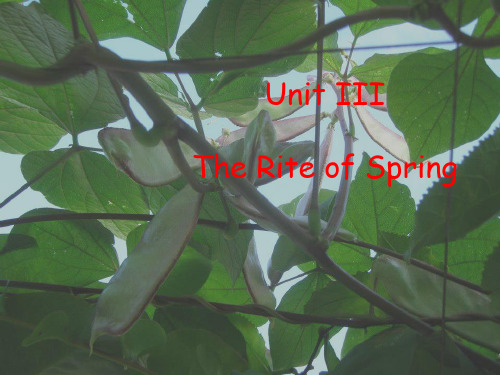 unit 3