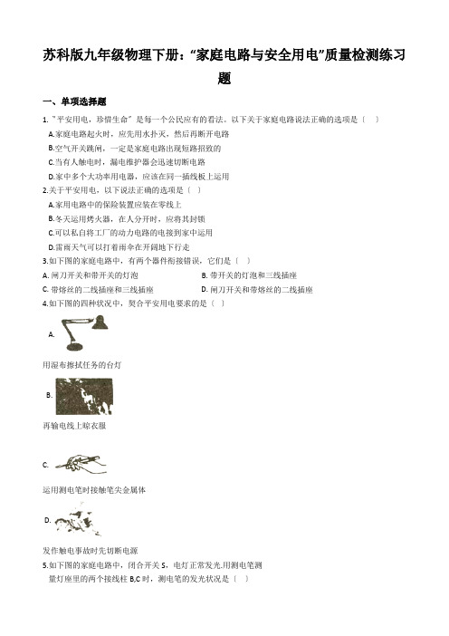 苏科版九年级物理下册：“家庭电路与安全用电”质量检测练习题
