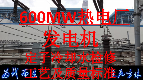 600MW发电机定子冷却水检修工艺及质量标准