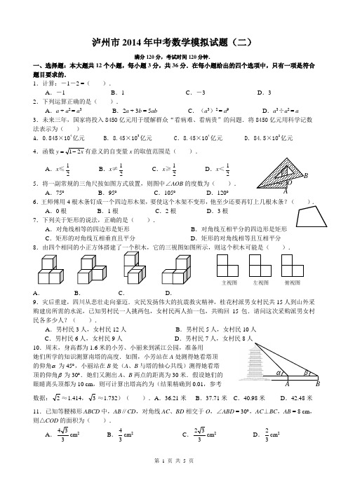 泸州市2014年中考数学模拟试题(二)