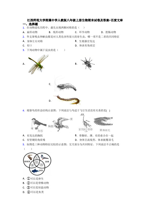 江西师范大学附属中学人教版八年级上册生物期末试卷及答案-百度文库