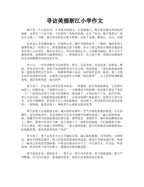 寻访美丽浙江小学作文