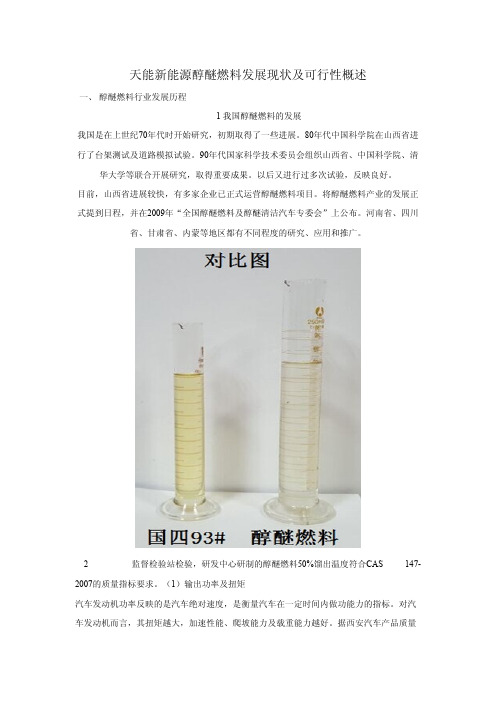 天能新能源醇醚燃发展现状及可行性概述料