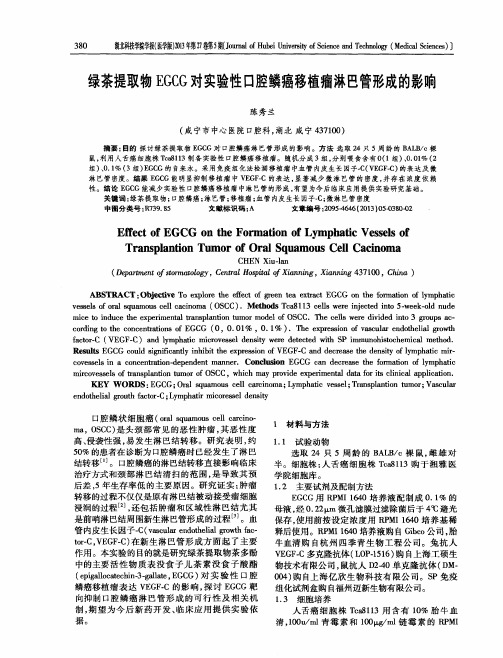 绿茶提取物EGCG对实验性口腔鳞癌移植瘤淋巴管形成的影响