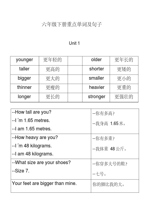 新人教版小学英语六年级下册重点单词及句子
