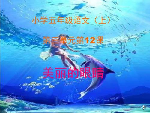 五年级语文上册 第三单元 美丽的眼睛课件2 西师大版(1)