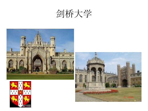 中外大学对比