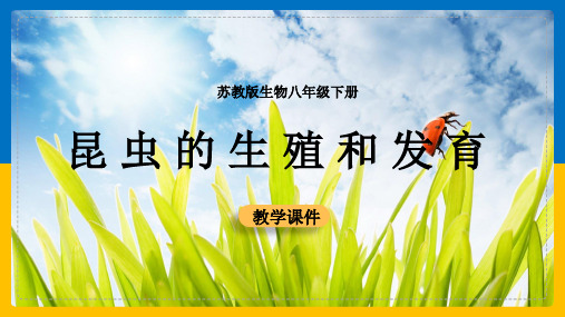 初中生物苏教版八年级下册《21.3昆虫的生殖与发育》课件(完美版)