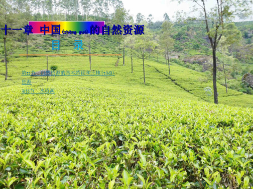 中考地理总复习 第十一章 中国的自然资源课件 
