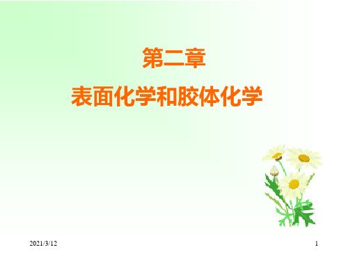 第二章(表面化学和胶体化学)PPT课件
